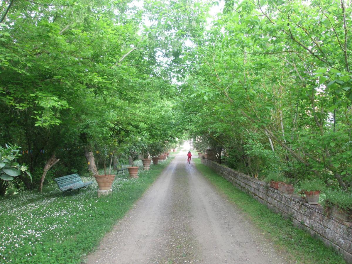 Ferienwohnung Ginestra Poggibonsi Exterior foto