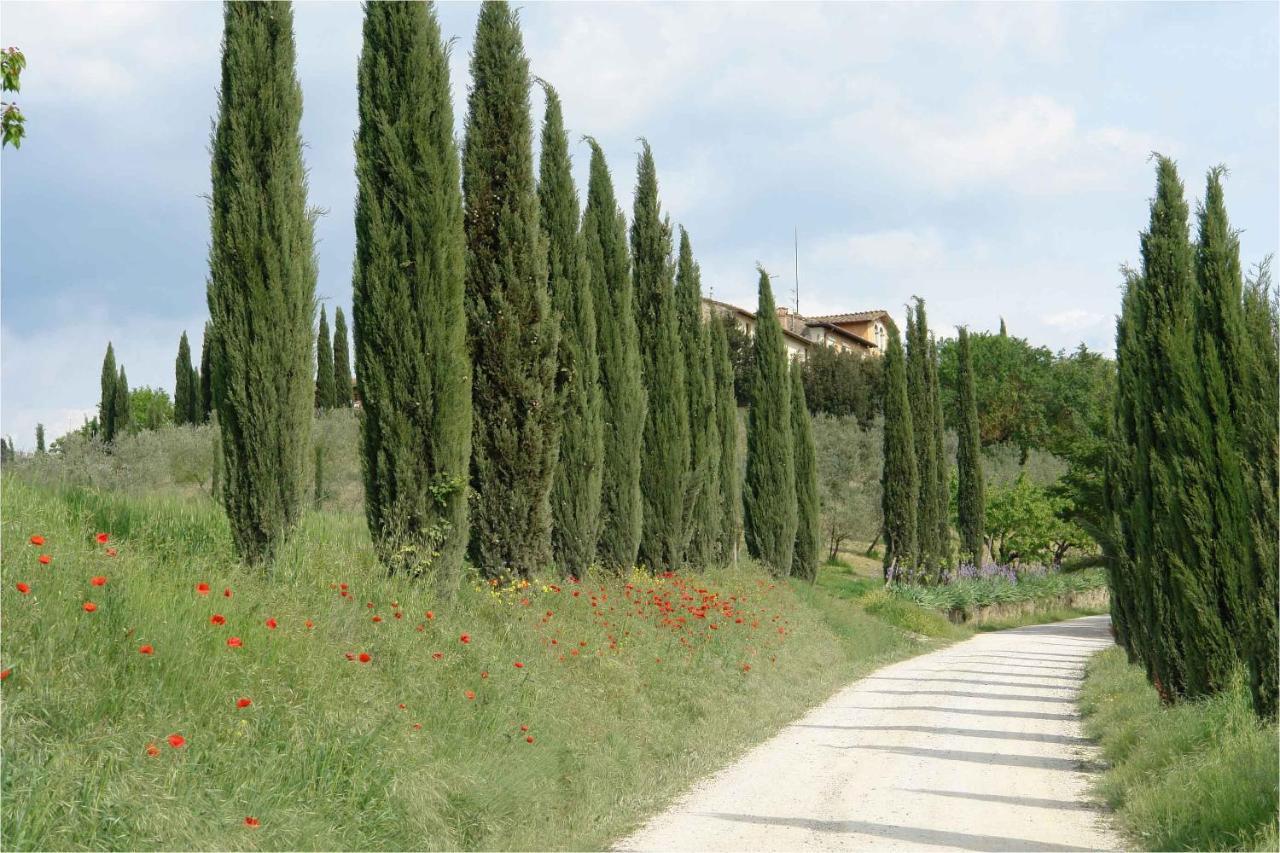 Ferienwohnung Ginestra Poggibonsi Exterior foto