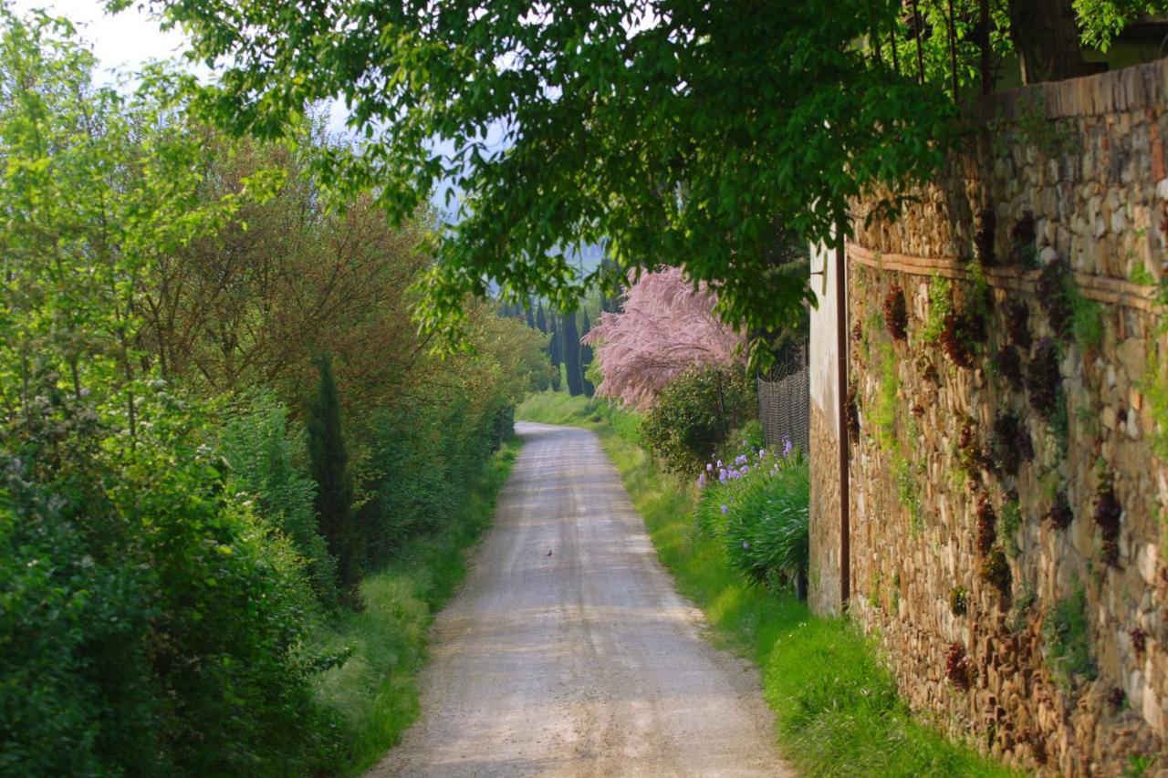 Ferienwohnung Ginestra Poggibonsi Exterior foto