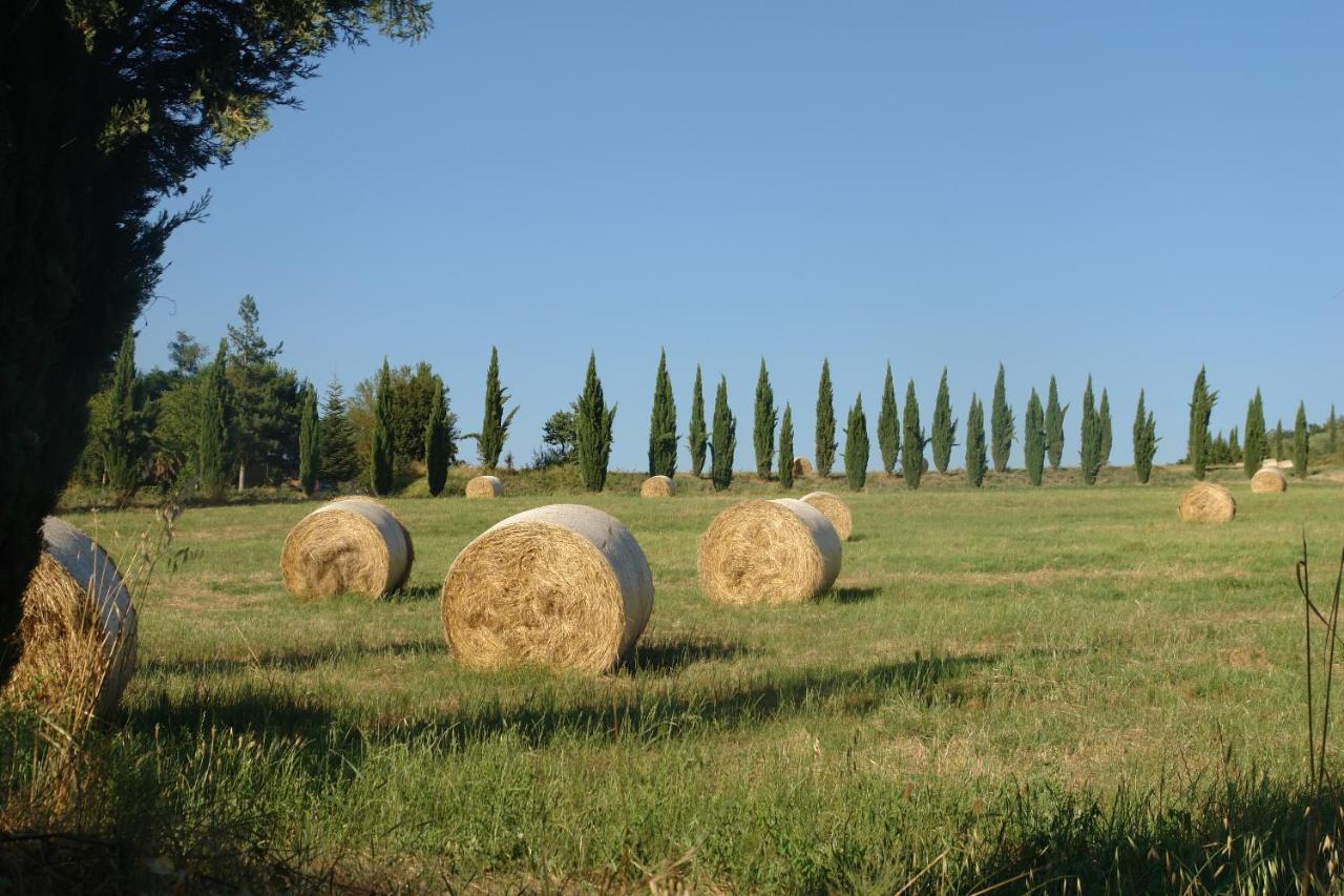 Ferienwohnung Ginestra Poggibonsi Exterior foto